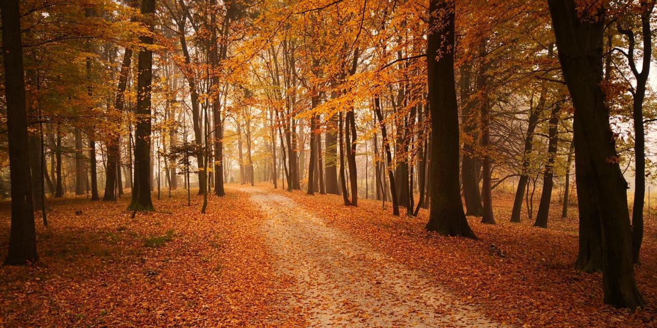 Готель Dwor Sierakow Екстер'єр фото